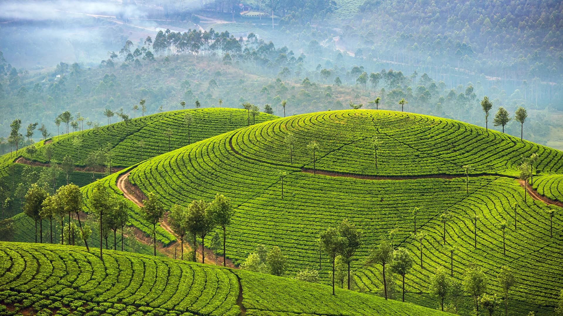 Sri Lankan Culture